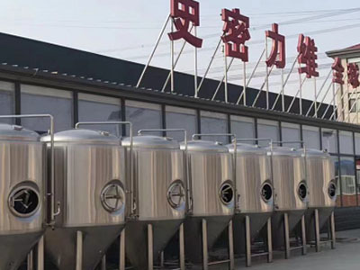 江北精酿啤酒设备厂—市场规模与跨界新需求